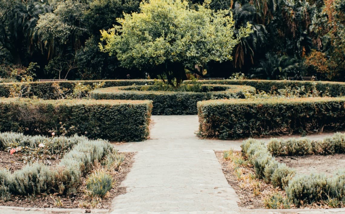 Sydney Airport to Rosehill Gardens Racecourse