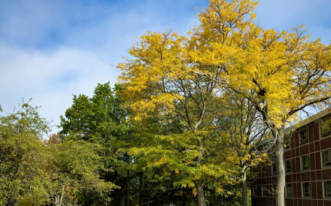 Syracuse Airport to Binghamton