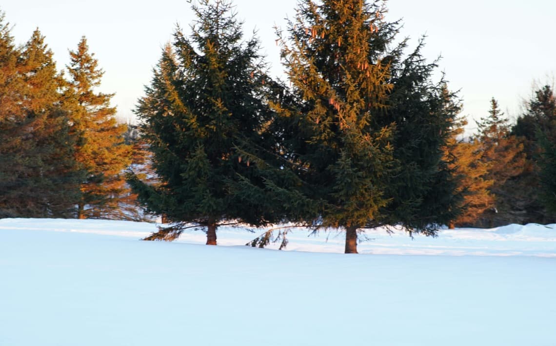 Syracuse Airport to Potsdam, NY