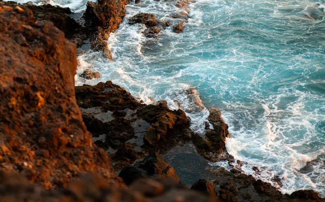 Tenerife South Airport to Callao Salvaje