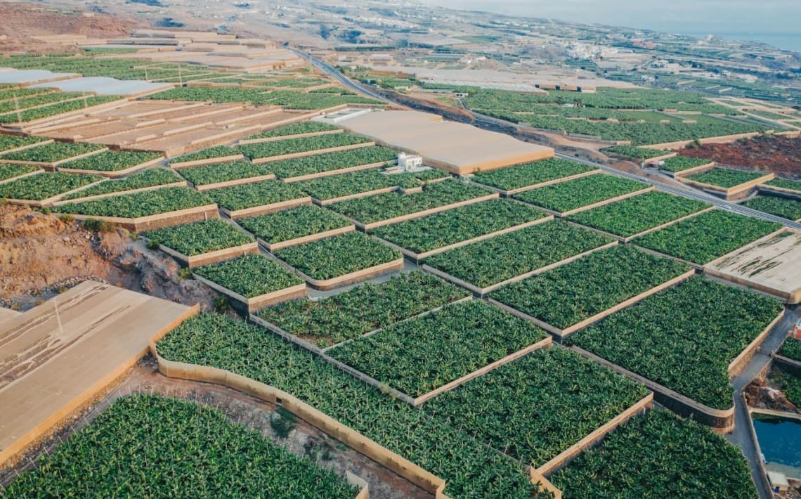Tenerife South Airport to Guia de Isora