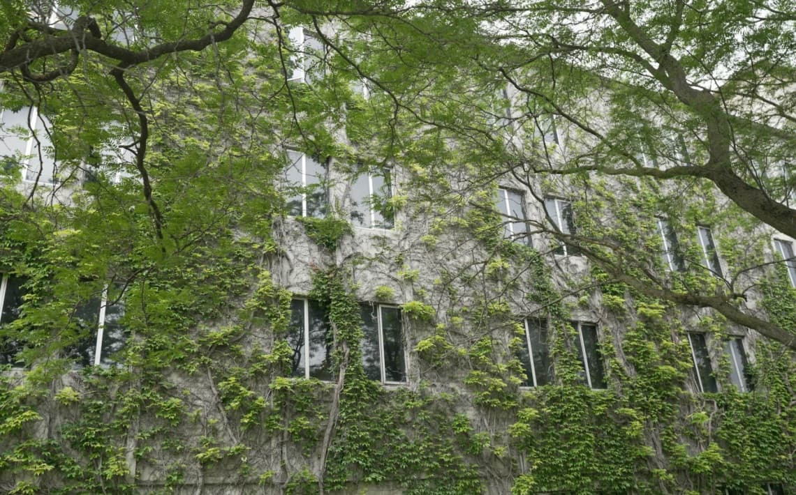 Toronto Pearson Airport to Queen's University