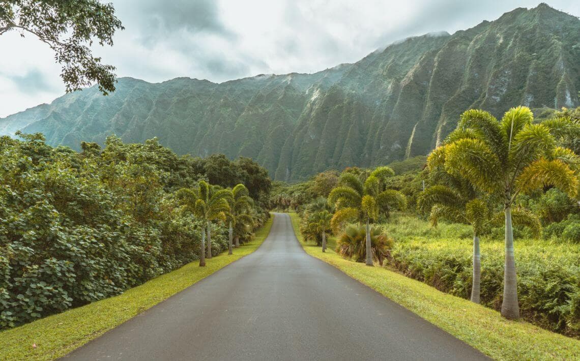 Transfer Honolulu Airport to Waikiki