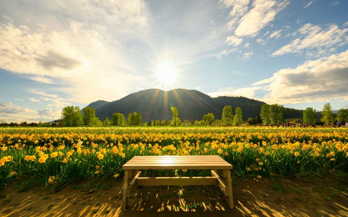 Vancouver Airport to Chilliwack