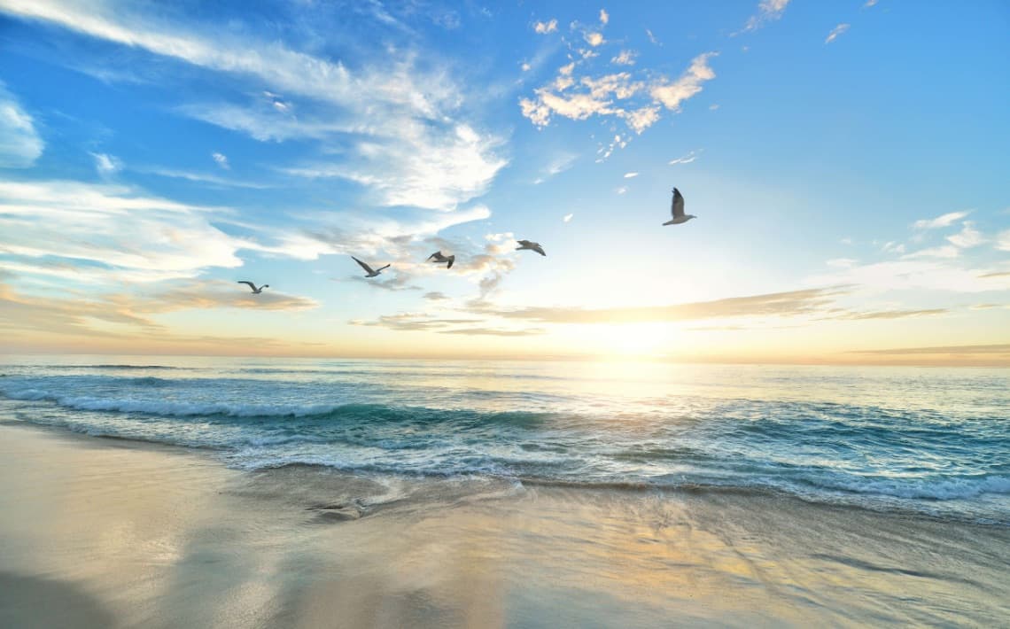 Varna Airport to Sunny Beach