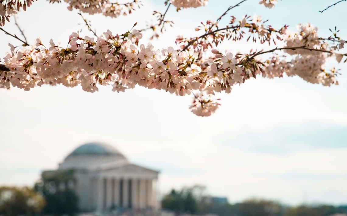 Washington Dulles Airport to Washington Convention Center
