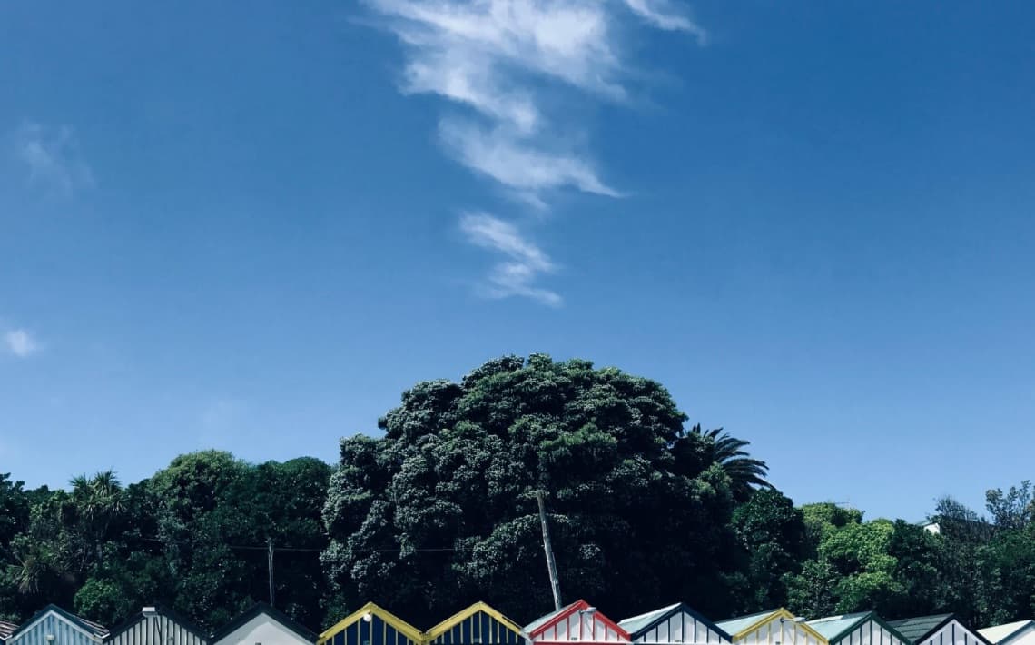 Wellington Airport to Porirua