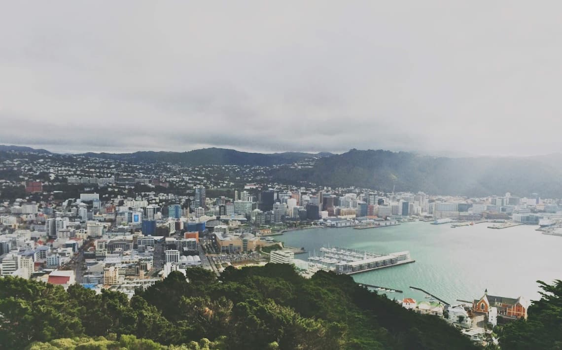 Wellington Airport to Thorndon