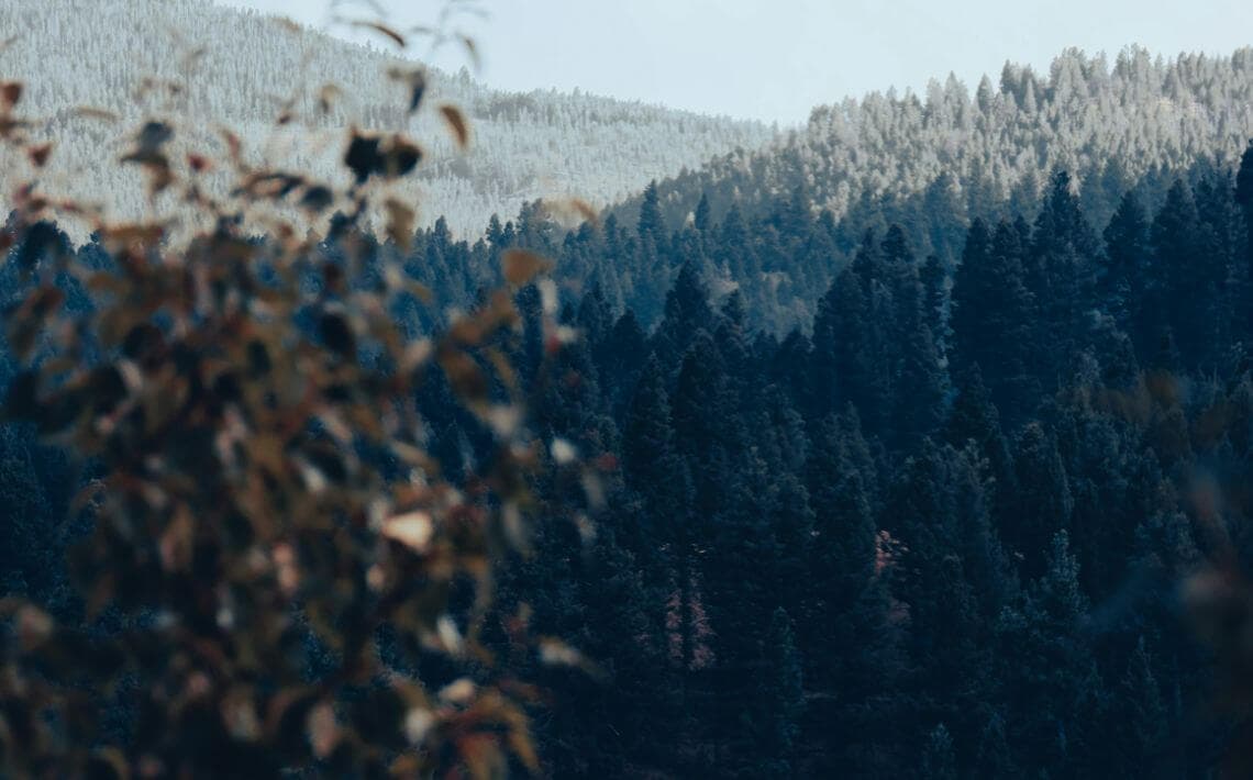 West Yellowstone Airport to Yellowstone National Park