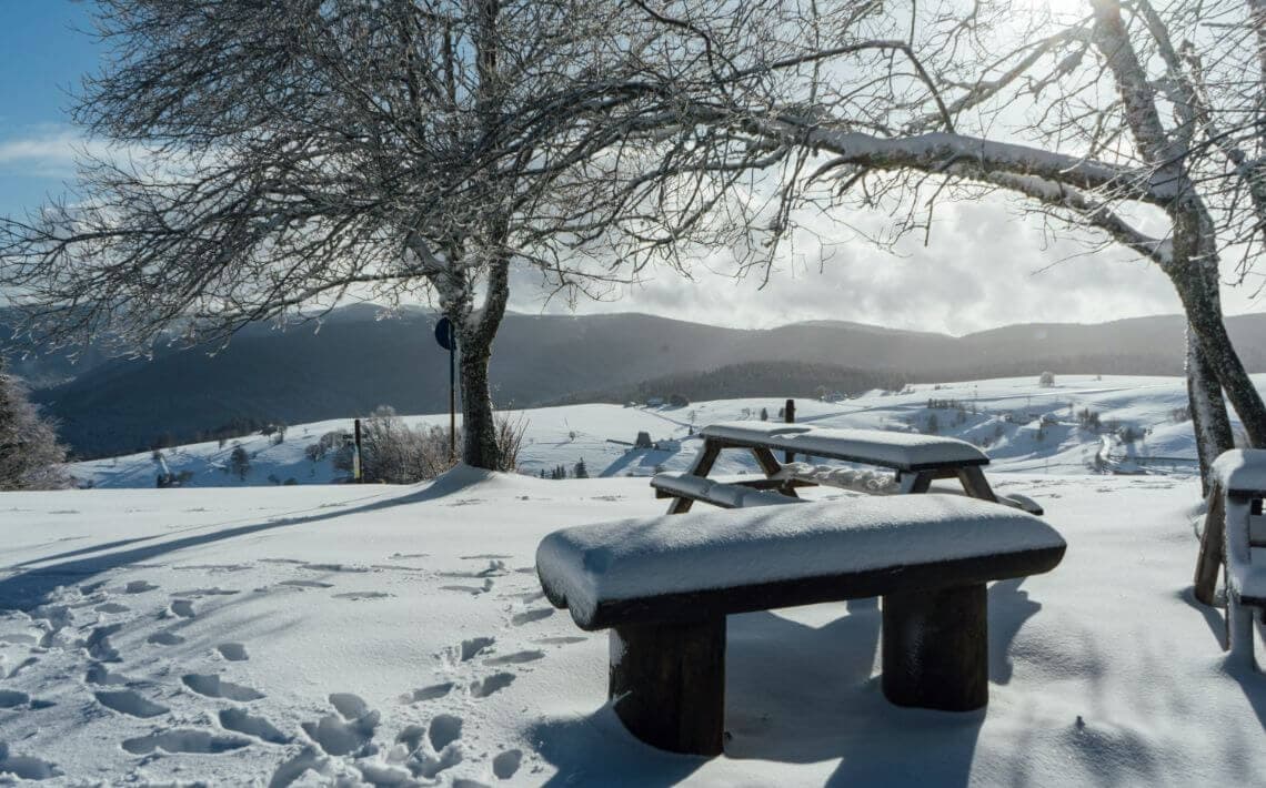 Zurich Airport to Donaueschingen