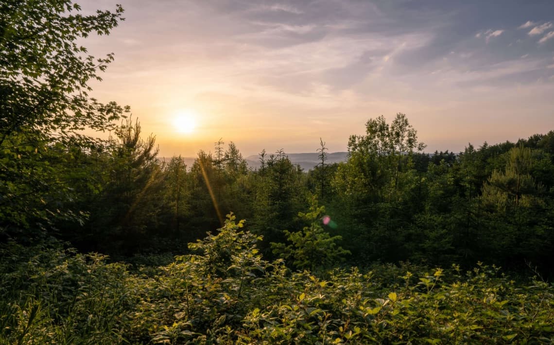 Zurich Airport to Frauenfeld