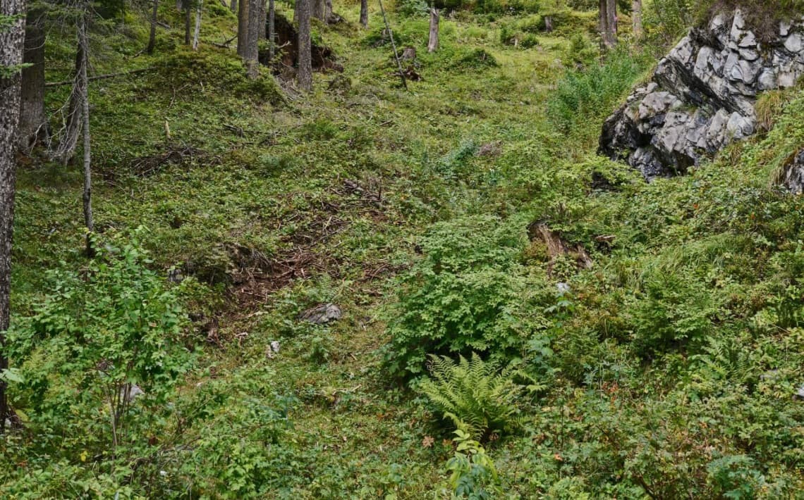 Zurich Airport to Kandersteg