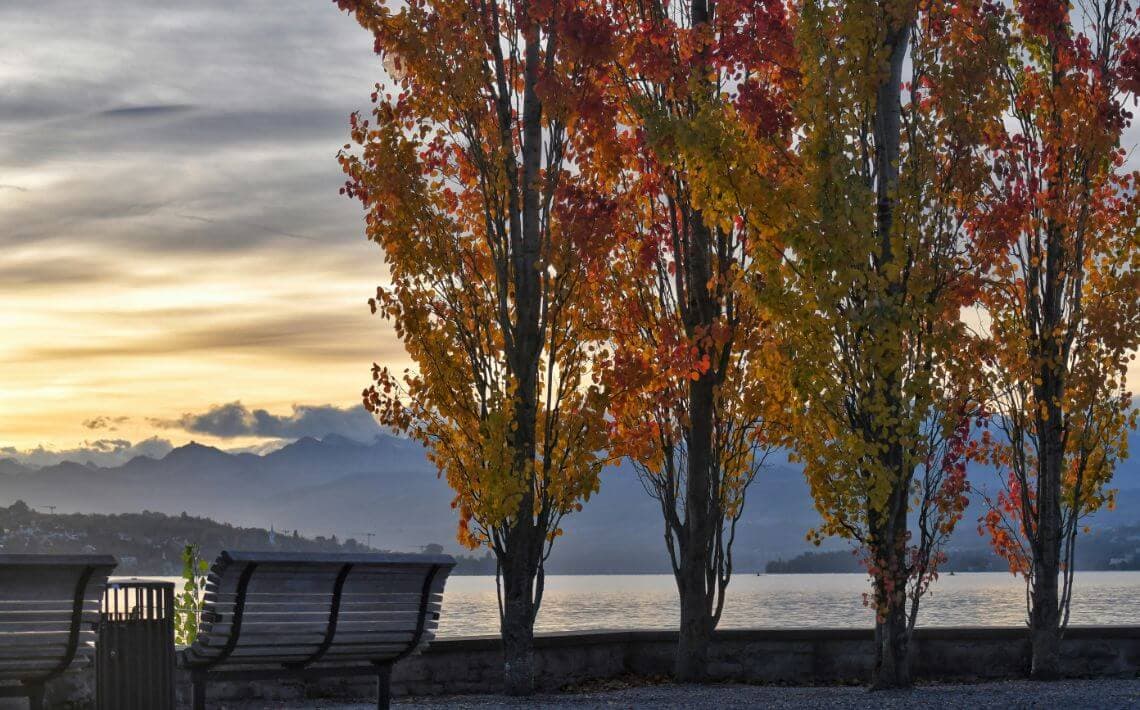 Zurich Airport to Rüschlikon