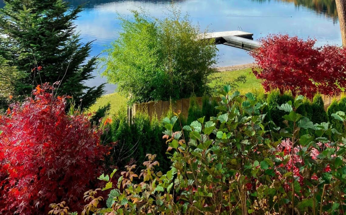 Zurich Airport to Titisee